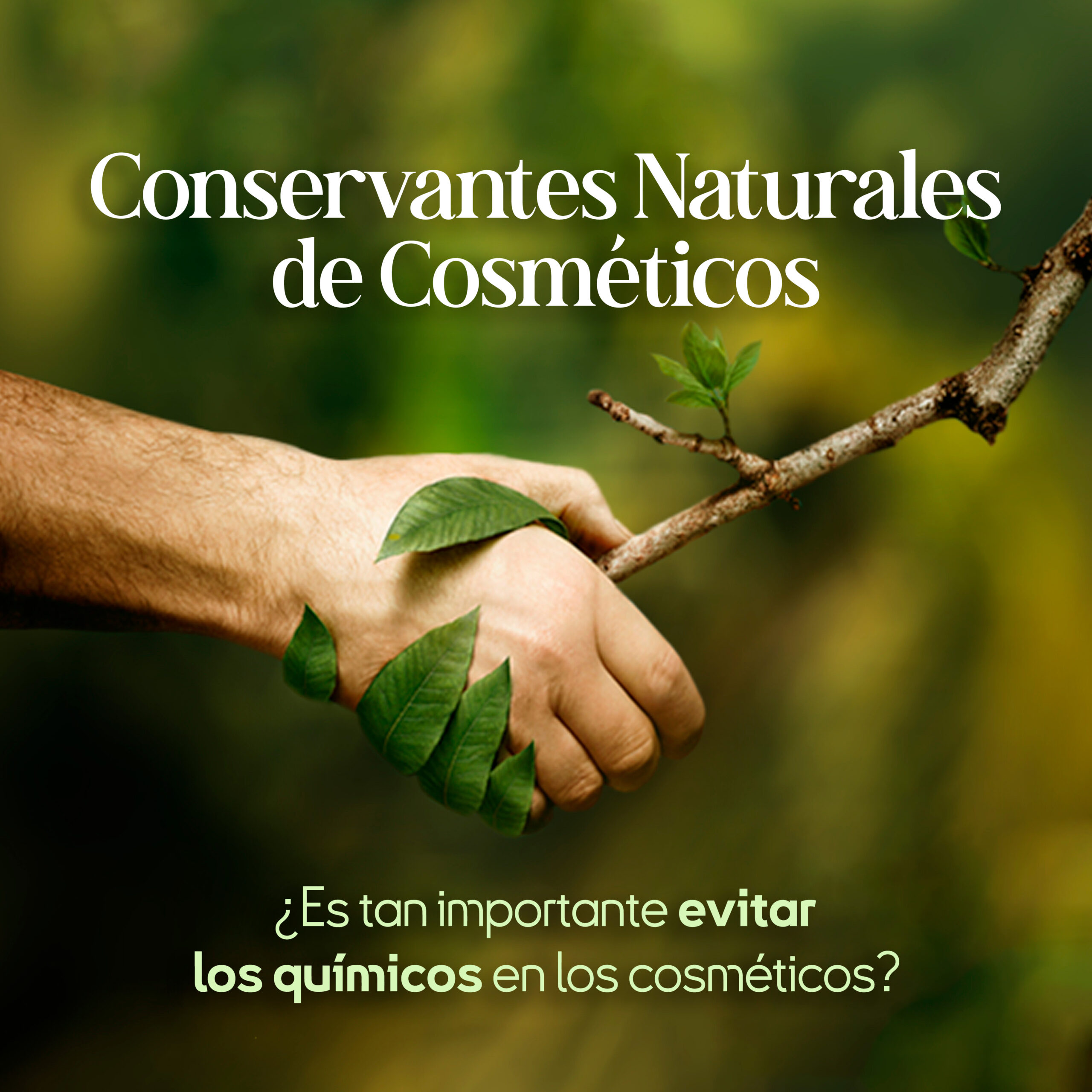 Conservantes Naturales Cosméticos