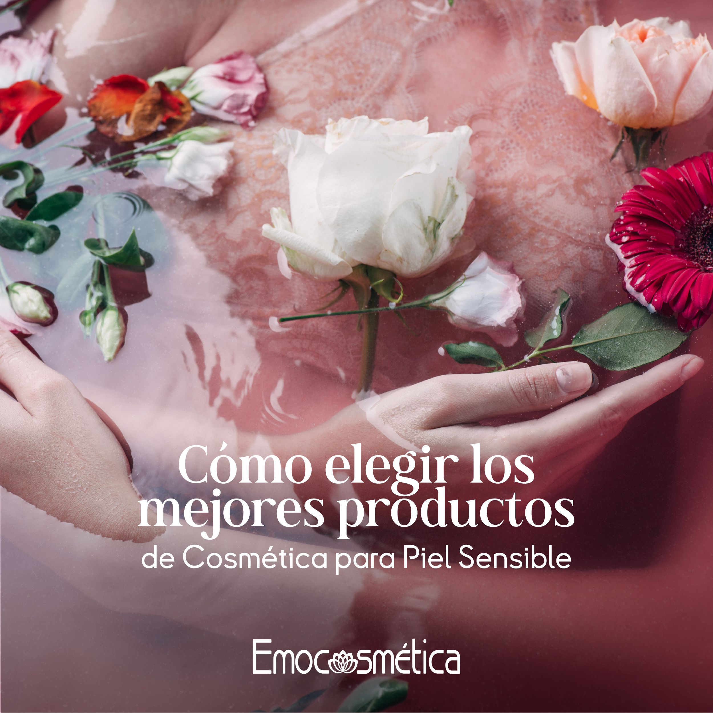 Como elegir mejores productos de cosmetica