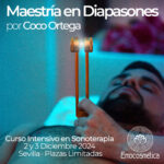 Maestría en Diapasones por Coco Ortega