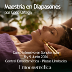 Maestría en Diapasones por Coco Ortega · Sevilla