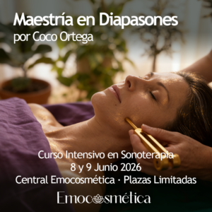 maestria formacion diapasones sonoterapia