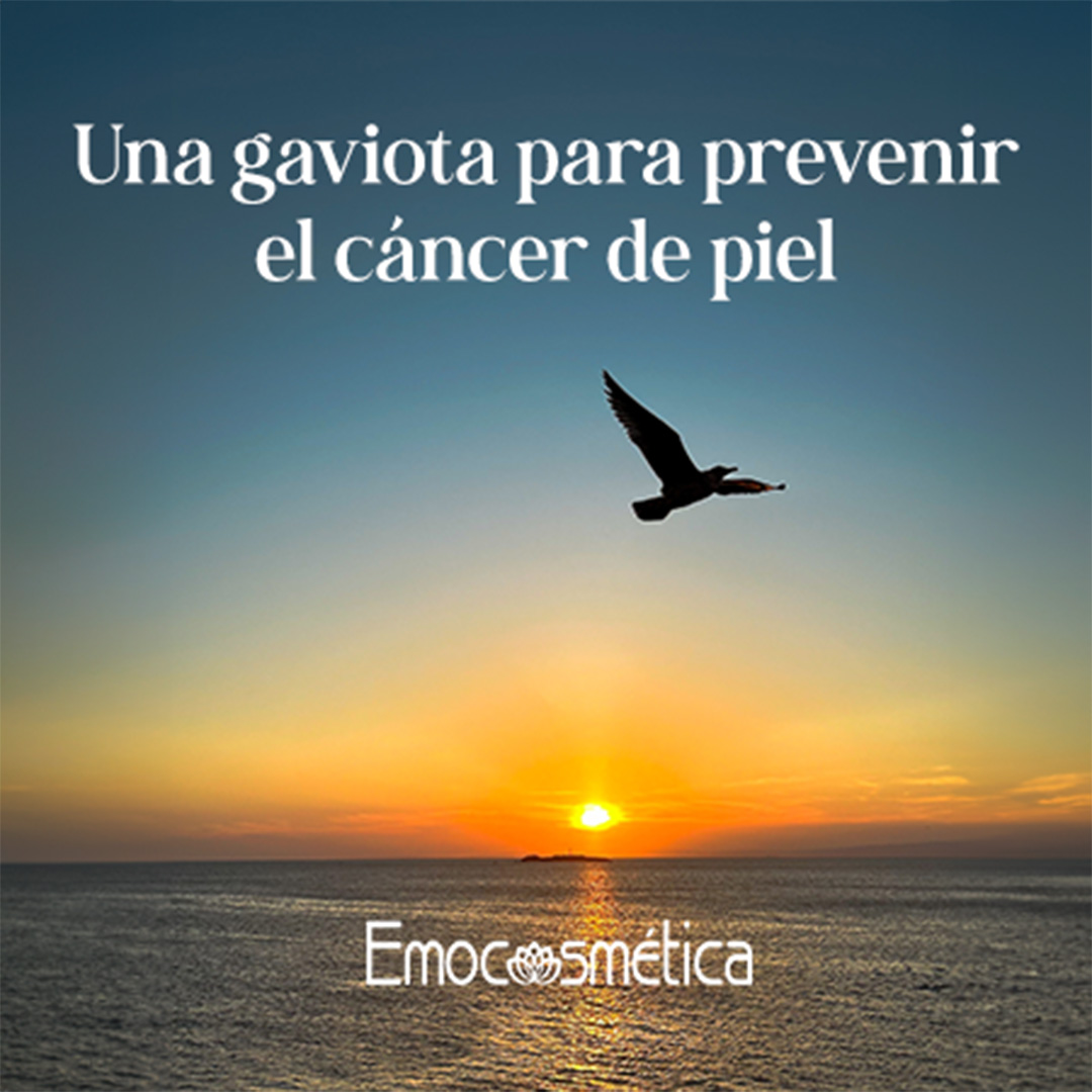 una gaviota para prevenir el cáncer de piel