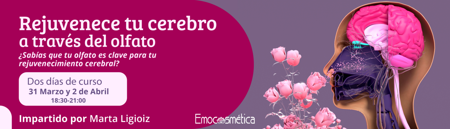 Curso rejuvenece tu cerebro