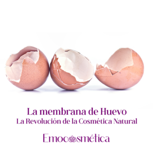 La membrana de huevo: revolución cosmetica natural