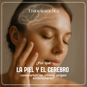 la piel y el cerebro comparten origen embrionario
