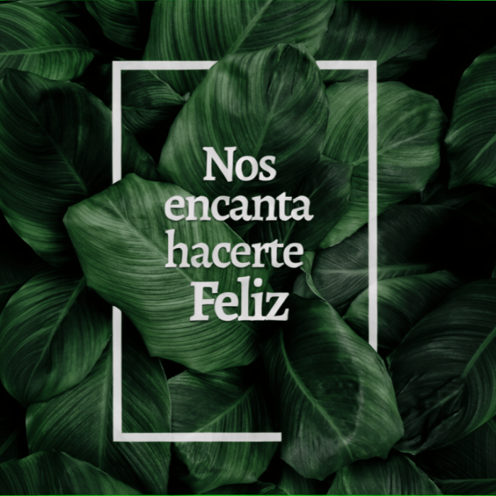 En emocosmética nos encanta hacerte Feliz